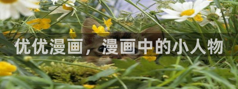 51漫画双男主的动漫推荐：优优漫画，漫画中的小人物