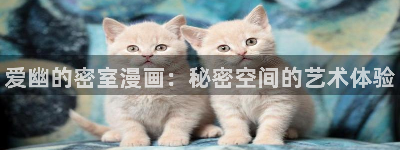 51漫画漫画女神网咖：爱幽的密室漫画：秘密空间的艺术体验