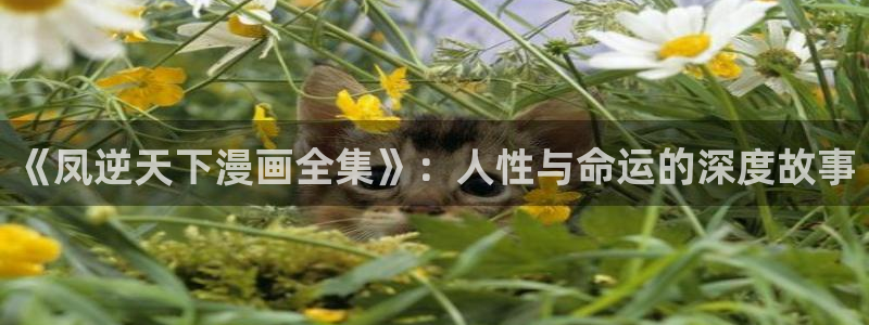 51漫画动漫免费观看：《凤逆天下漫画全集》：人性与命运的深度故事